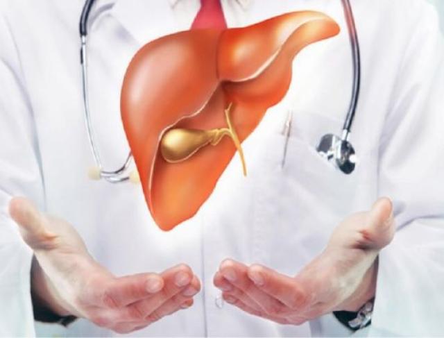  Hepatologia